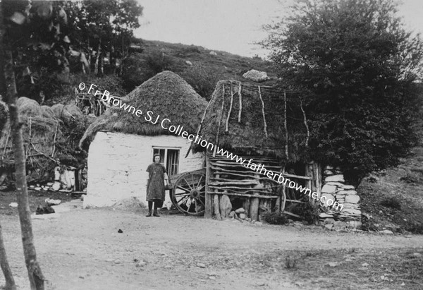 A MOUNTAIN HOME IN WEST CORK